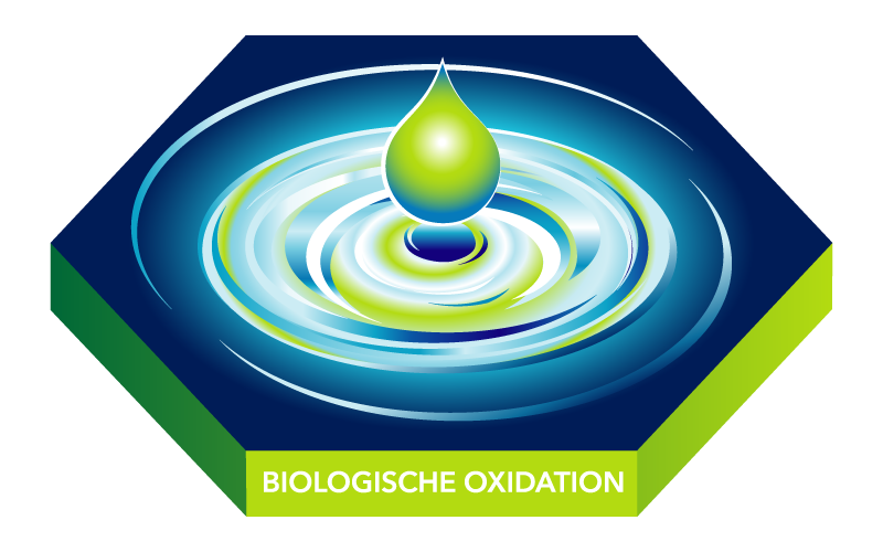 Biologische-Oxidation